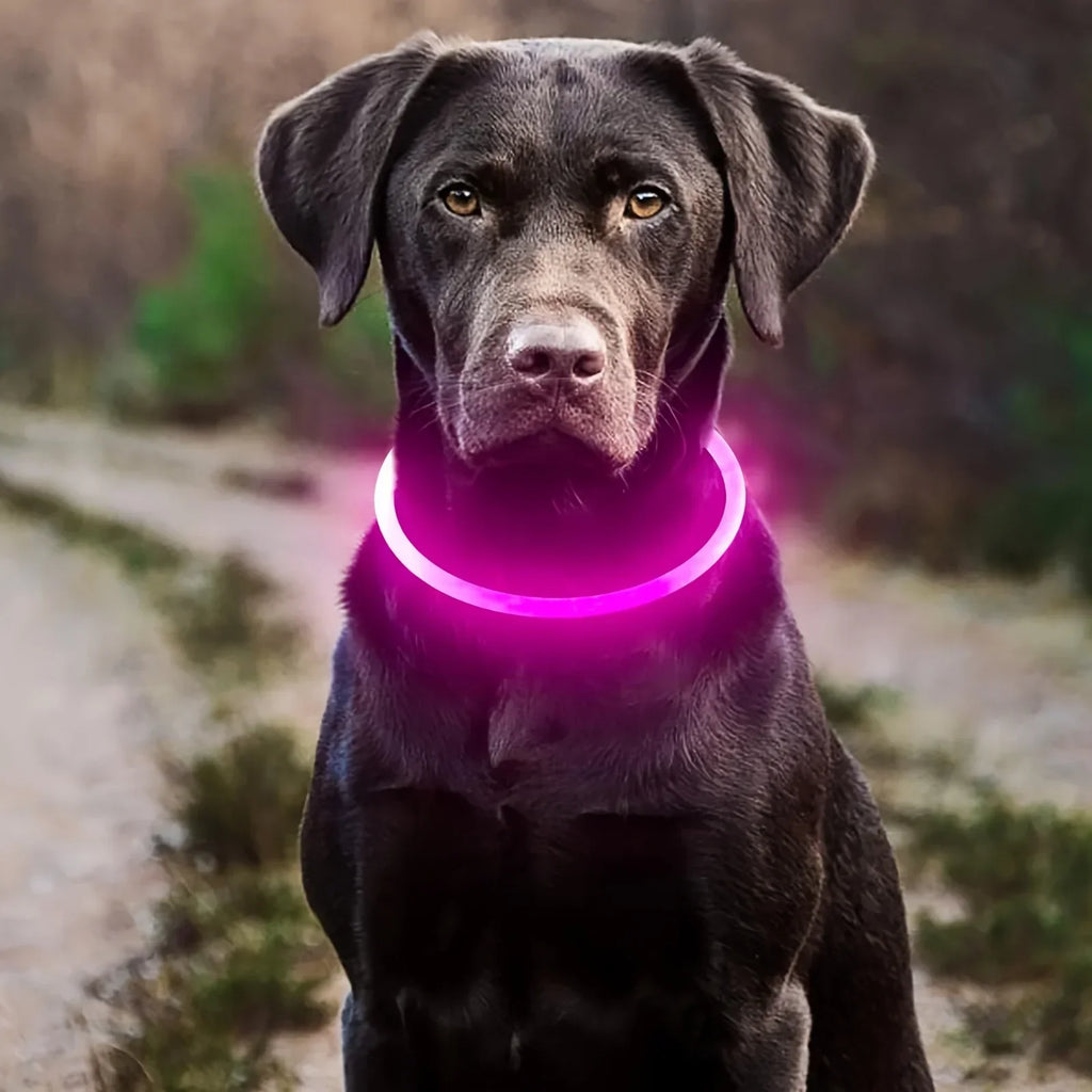 Pet dog LED light collar