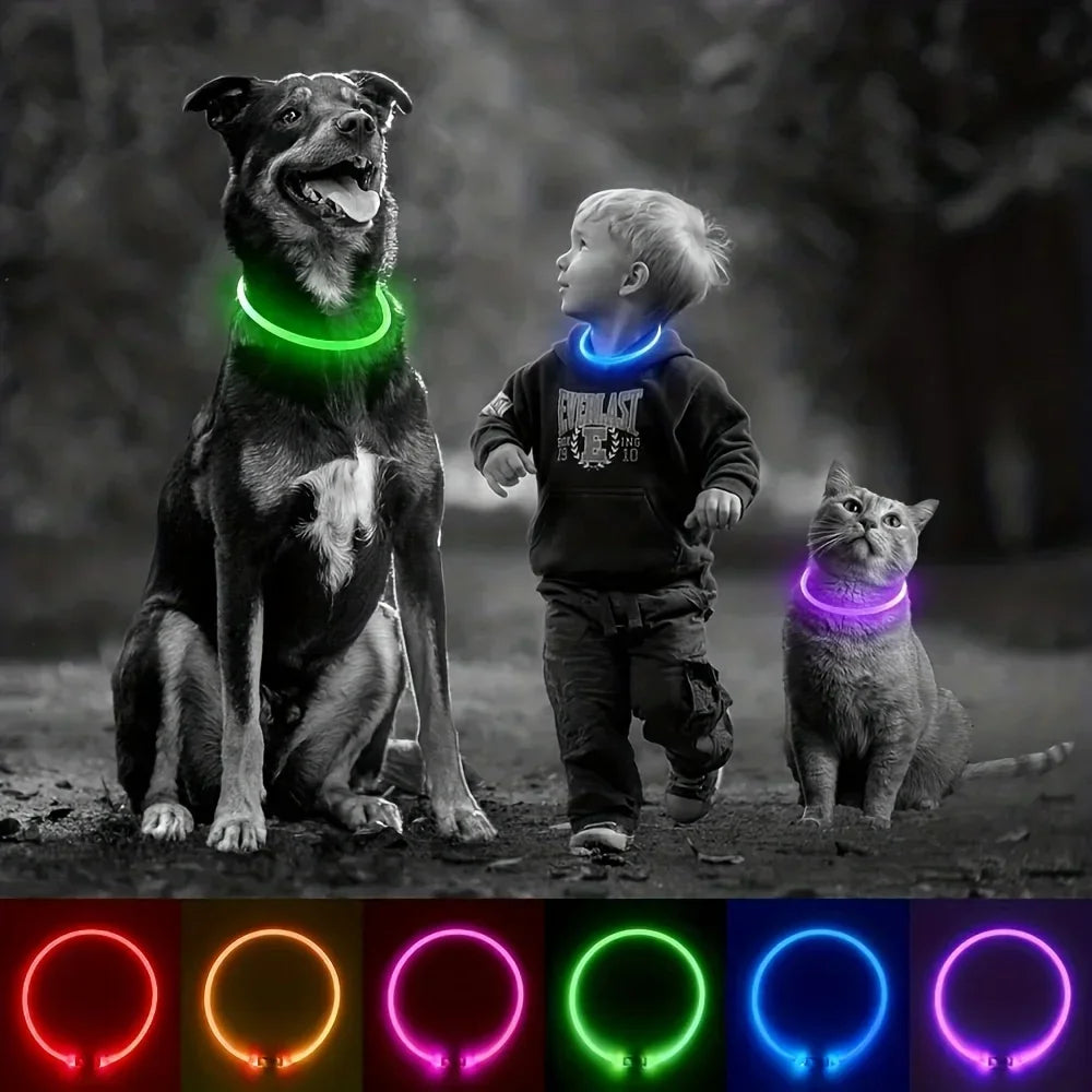 Pet dog LED light collar