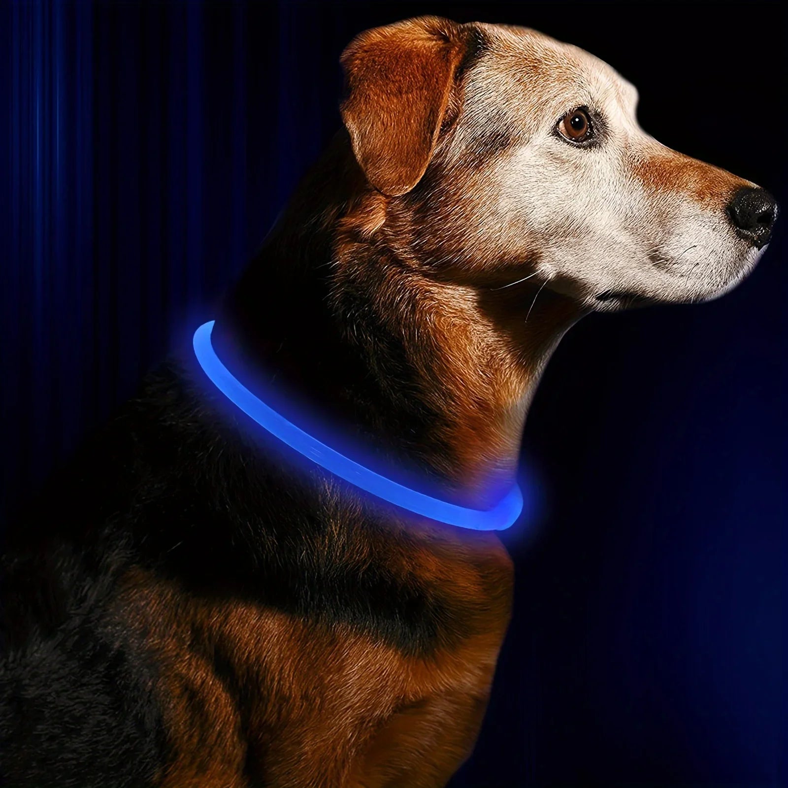 Pet dog LED light collar