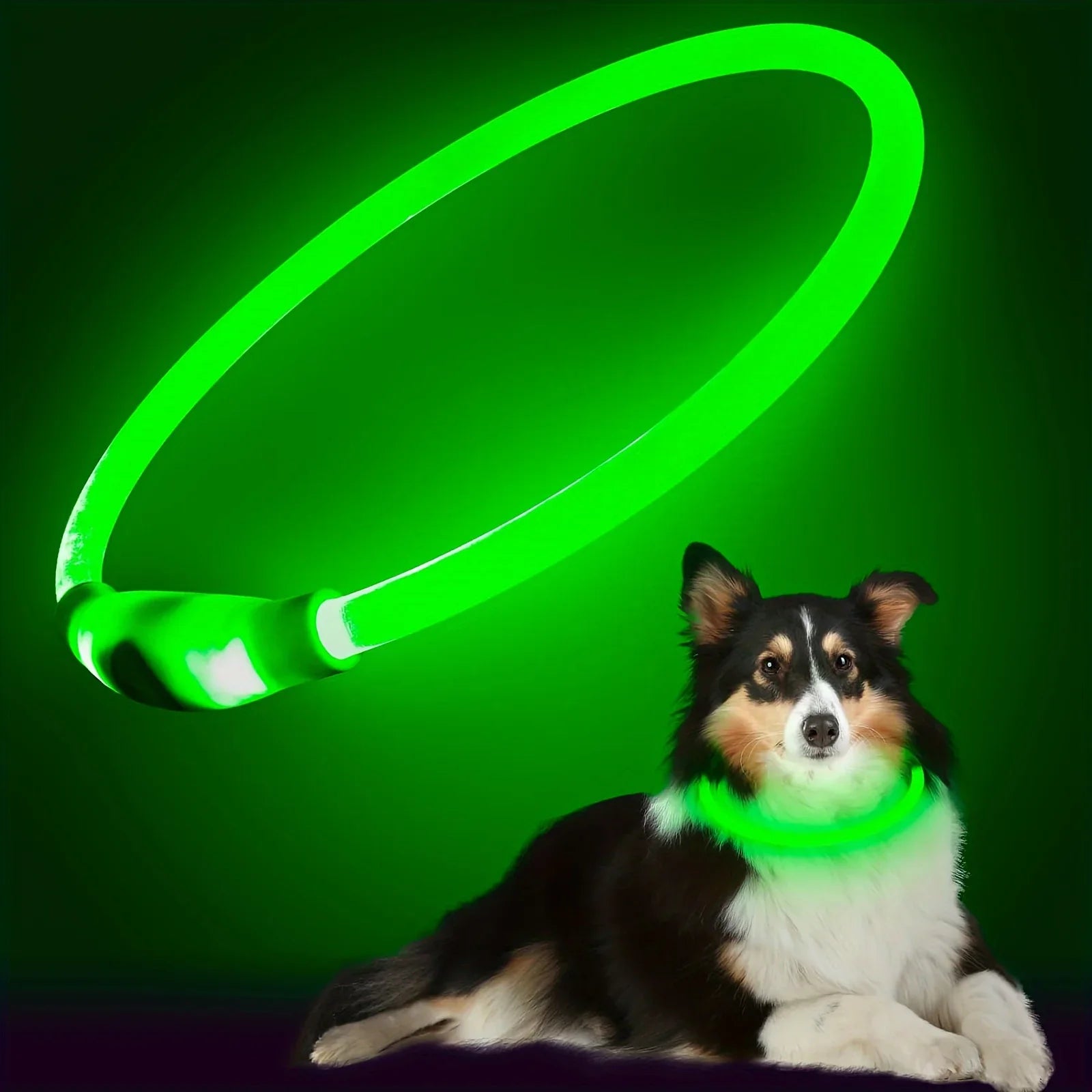 Pet dog LED light collar
