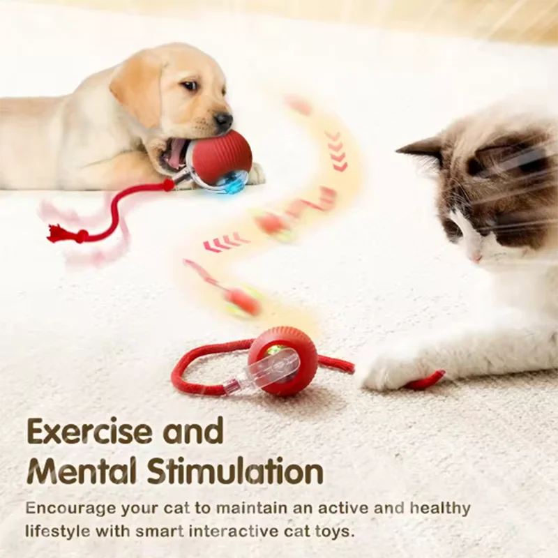 Intelligent interactive cat ball