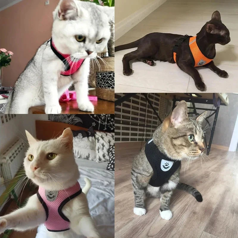 Cat Harness Vest